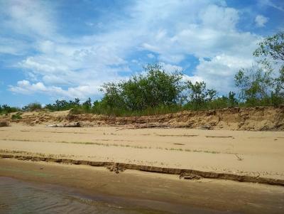 
Сегодня - снова без осадков					