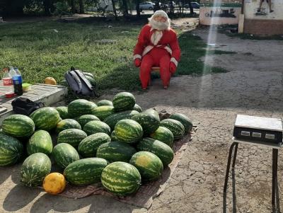 
В Энгельсе Дедов Морозов вывели торговать арбузами					