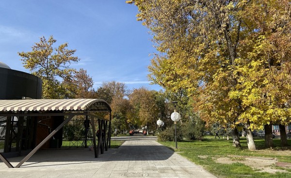 В Саратовской области потеплеет до 17 градусов 