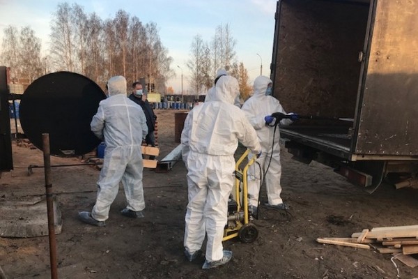 В Удмуртии сожгли произведенную в Саратове свиную вырезку с геном вируса АЧС