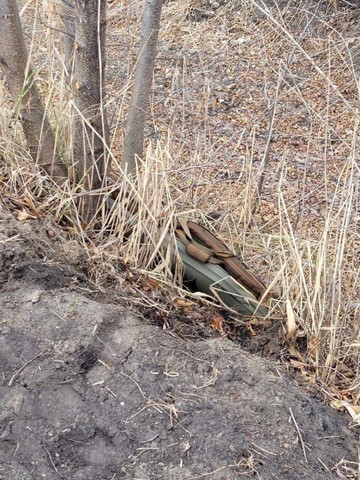 Рядом с местом разделки туши лося в саратовском лесу нашли карабин и охотничий билет на имя Рашкина