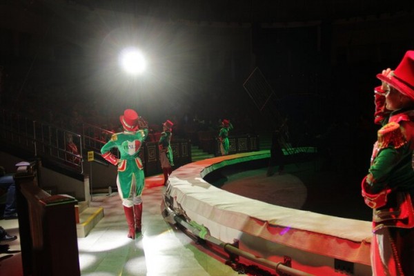 В Саратове состоялась премьера нового шоу итальянского цирка со 150-летней историей