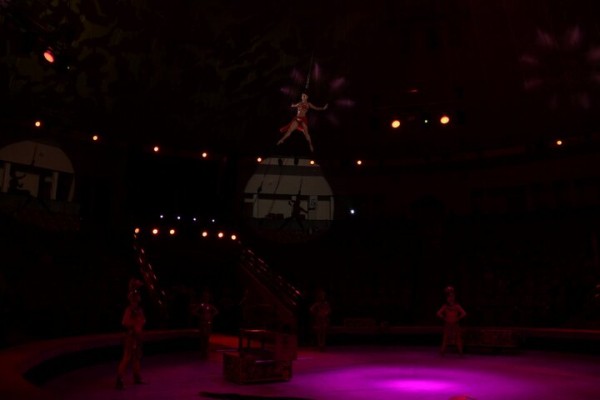 В Саратове состоялась премьера нового шоу итальянского цирка со 150-летней историей