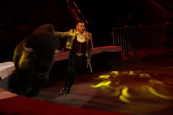 В Саратове состоялась премьера нового шоу итальянского цирка со 150-летней историей
