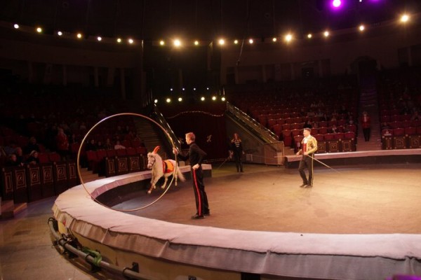 В Саратове состоялась премьера нового шоу итальянского цирка со 150-летней историей