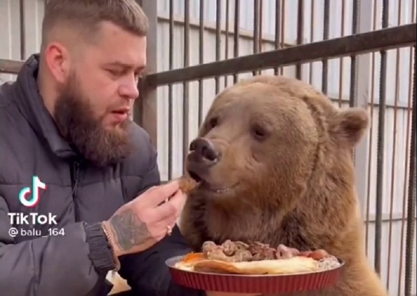 Житель Саратова поделился шашлыком с медведем 
