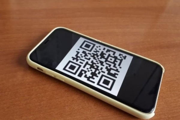 Идею ввести в России QR-коды для посещения магазинов и поездок в общественном транспорте поддержали 3% антипрививочников и 31% сделавших прививку