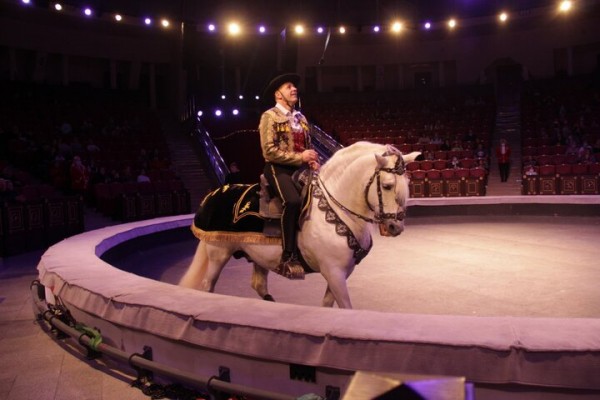 В Саратове состоялась премьера нового шоу итальянского цирка со 150-летней историей