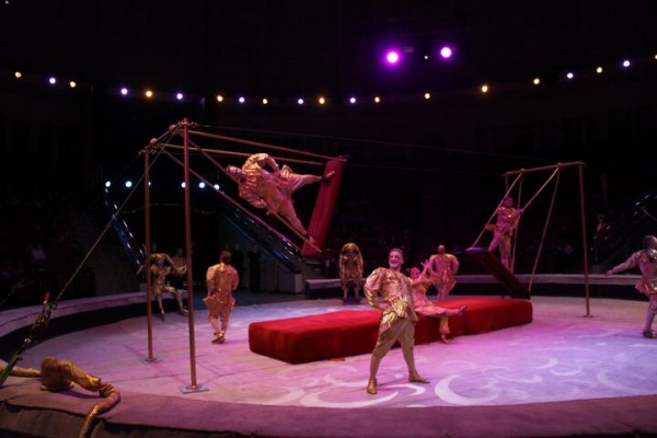 В Саратове состоялась премьера нового шоу итальянского цирка со 150-летней историей