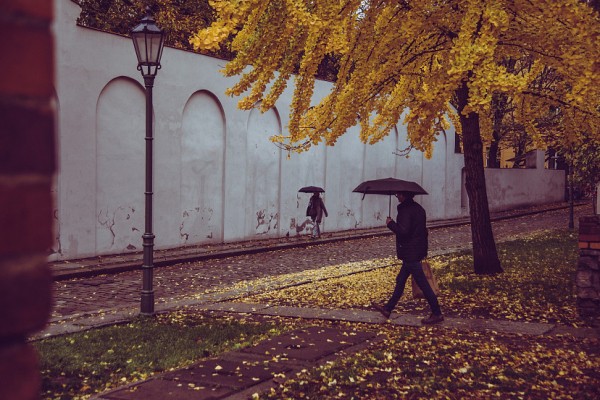 В Саратовской области обещают 10 градусов тепла и дождь