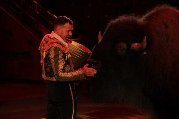 В Саратове состоялась премьера нового шоу итальянского цирка со 150-летней историей