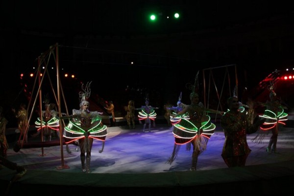 В Саратове состоялась премьера нового шоу итальянского цирка со 150-летней историей