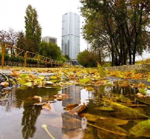 Саратовскую область ожидает теплая погода с дождем