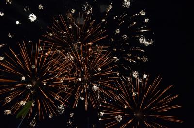 
Роспотребнадзор напомнил, где покупать салюты и фейерверк 					