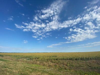 
Воздух сегодня прогреется лишь до -5 градусов					