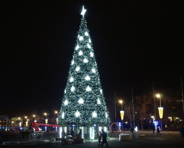 На Театральной площади установили главную елку Саратова