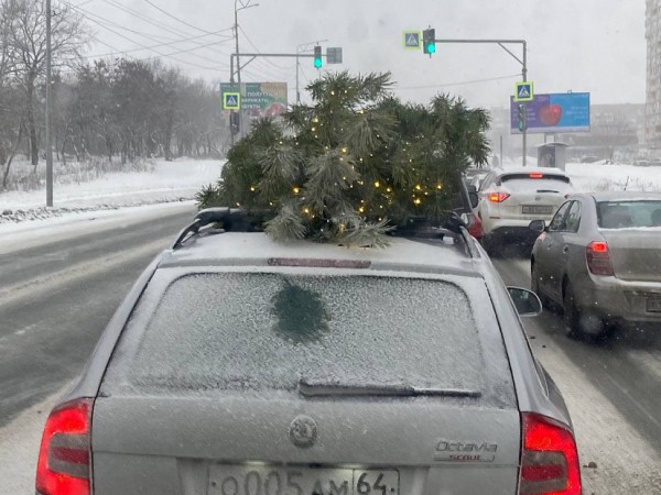 Саратовцев удивила сверкающая гирляндой елка на крыше иномарки 