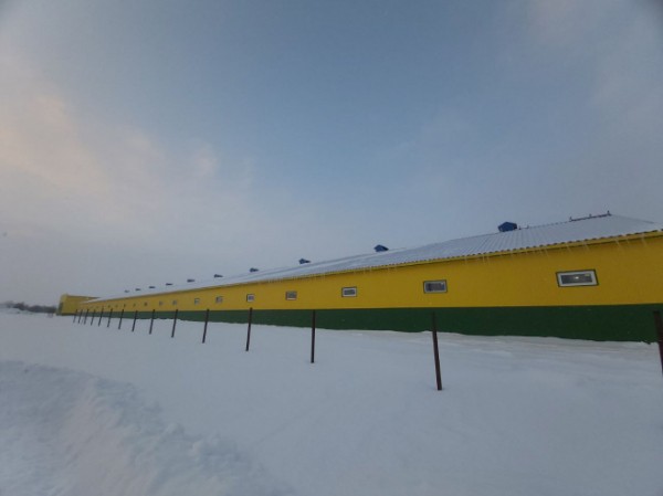 Губернатор посетил крупнейшее сельхозпредприятие Турковского района Губернатор посетил крупнейшее сельхозпредприятие Турковского района