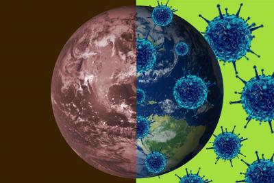 
За сутки в регионе в два раза выросла заболеваемость коронавирусом 					