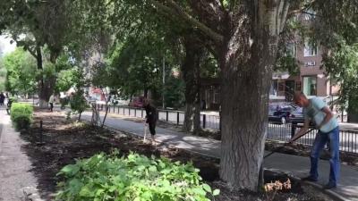 
Бульвар на улице Рахова благоустроят до конца июня					