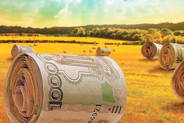 Пятьдесят миллиардов рублей: глава Саратовской области рассказал о девяти крупных инвестпроектах, соглашения по которым были подписаны на ПМЭФ