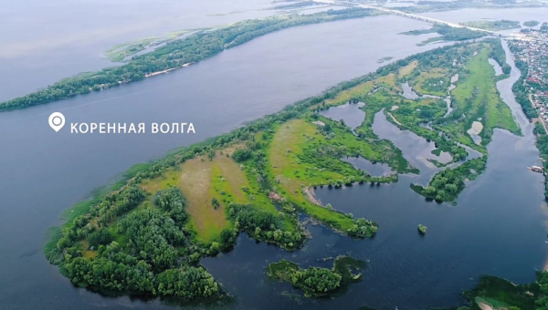 Под Саратовом за 50 миллионов продают остров на Волге