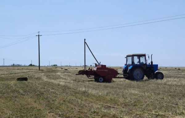 Депутаты намерены обязать аграриев отчитываться о зарплатах