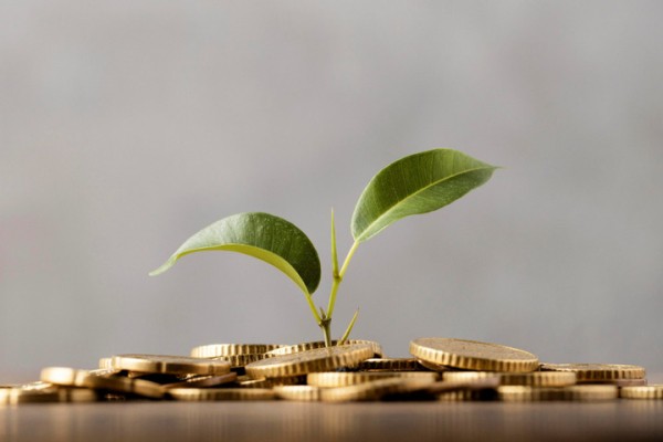 Портфель ответственного финансирования в Поволжском банке Сбербанка за полгода вырос на 28%