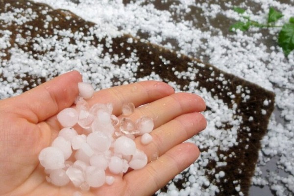 Град, сильный дождь и шквалистый ветер: как начнется неделя для жителей Саратовской области