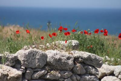4 июля саратовцев ожидает теплый день
4 июля саратовцев ожидает теплый день
