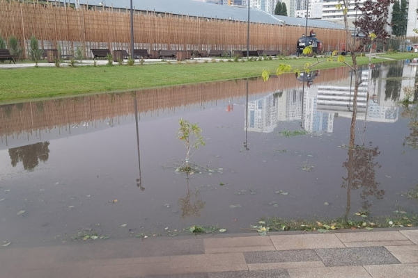 Ливень, град и шторм. В Саратове затопило улицы, повалило деревья и прекратилось движение электротранспорта