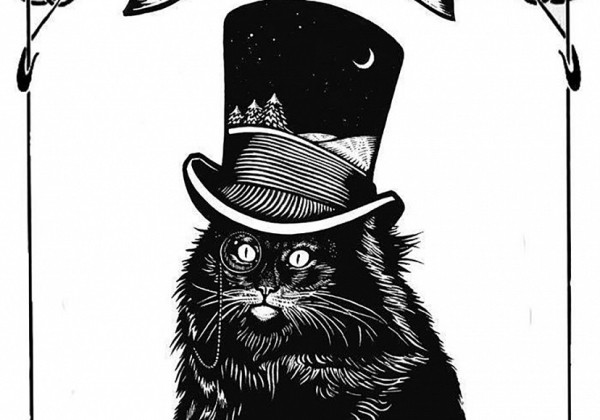 В Саратове на стене дома нарисуют огромного черного кота