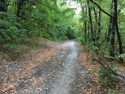 
За неделю в Саратовской области клещи покусали 11 человек					