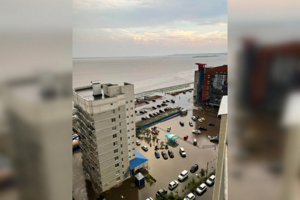 Ливень, град и шторм. В Саратове затопило улицы, повалило деревья и прекратилось движение электротранспорта