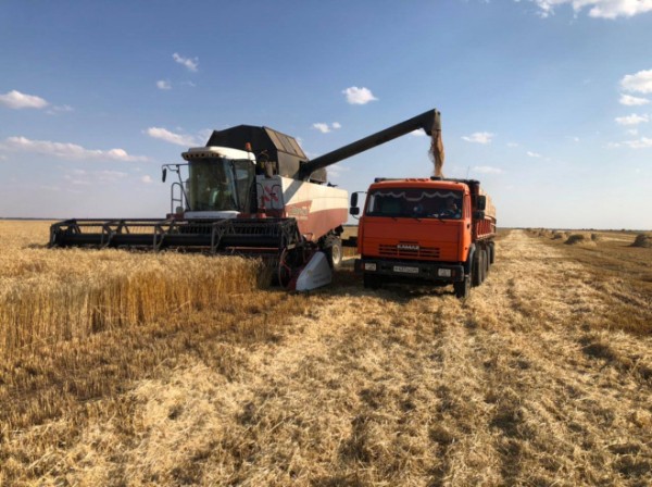В Саратовской области собран первый миллион тонн зерна В Саратовской области собран первый миллион тонн зерна