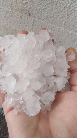 Ливень, град и шторм. В Саратове затопило улицы, повалило деревья и прекратилось движение электротранспорта