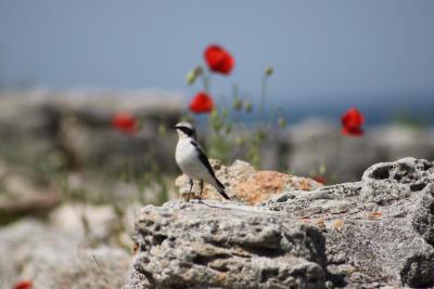 
Жителей Саратовской области ждет пасмурное воскресенье					