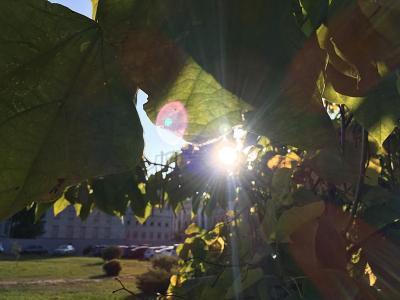 
Саратовцев ждет теплое воскресенье					