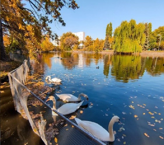 В Саратовской области потеплеет до 19 градусов