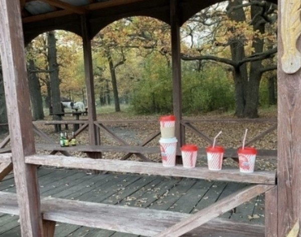 На Кумысной поляне нашли «инсталляцию от свиней» На Кумысной поляне нашли «инсталляцию от свиней»