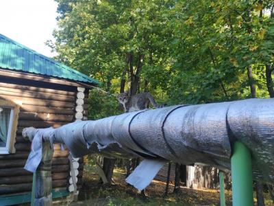 
Холодно и солнце: погода в Саратове 16 октября					