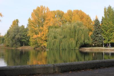 
Саратовцам обещают теплую погоду без осадков					