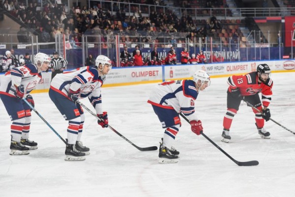 В медвежьем логове