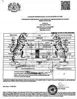 Офшоры, яхта и ЮАР