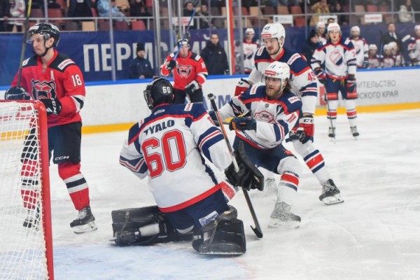 В медвежьем логове