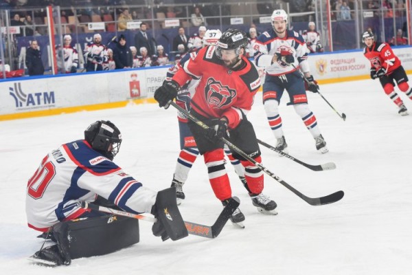 В медвежьем логове