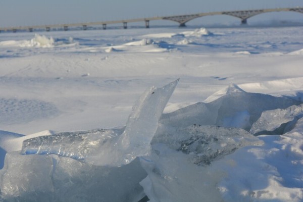 В Балаковском районе отменили уроки для школьников с 1 по 6 класс, в Саратове занятия состоятся