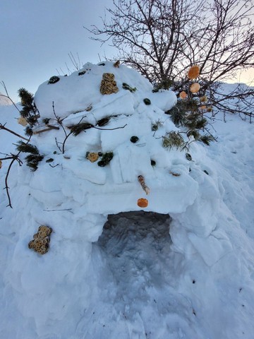 На Лысой горе появилось около двух десятков снежных домов: в Саратове прошел фестиваль по строительству иглу На Лысой горе появилось около двух десятков снежных домов: в Саратове прошел фестиваль по строительству иглу