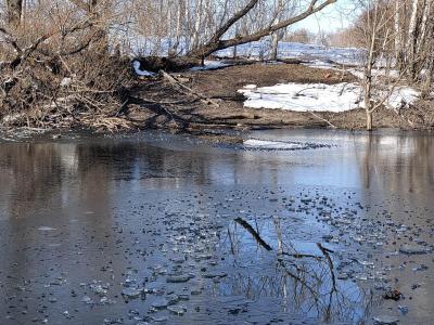 В Саратовской области ограничили движение в пяти районах из-за паводка
В Саратовской области ограничили движение в пяти районах из-за паводка