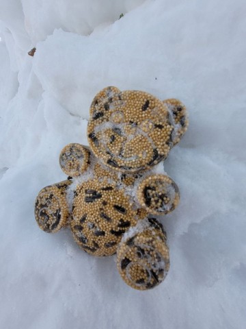 На Лысой горе появилось около двух десятков снежных домов: в Саратове прошел фестиваль по строительству иглу На Лысой горе появилось около двух десятков снежных домов: в Саратове прошел фестиваль по строительству иглу